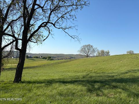 Tiny photo for 86 Swan Song Tr, Sharps Chapel, TN 37866 (MLS # 1336573)