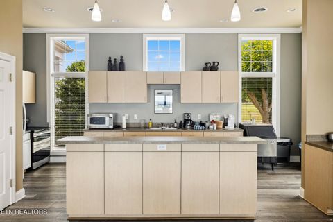 Tiny photo for 86 Swan Song Tr, Sharps Chapel, TN 37866 (MLS # 1336573)