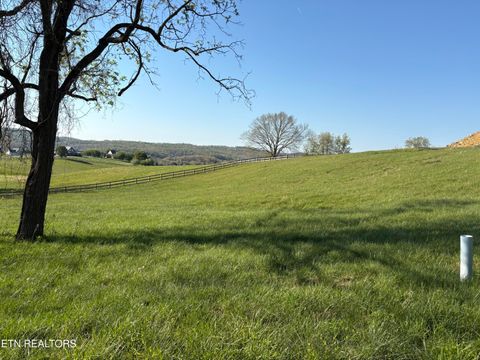 Tiny photo for 86 Swan Song Tr, Sharps Chapel, TN 37866 (MLS # 1336573)