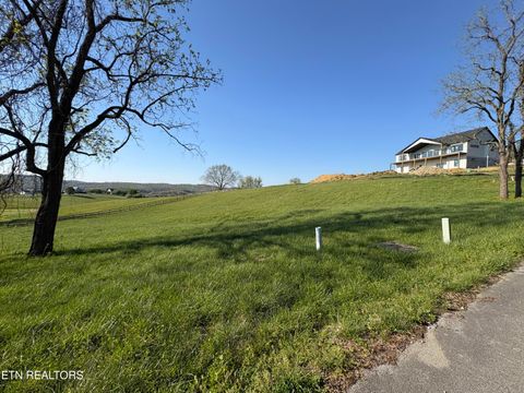 Tiny photo for 86 Swan Song Tr, Sharps Chapel, TN 37866 (MLS # 1336573)