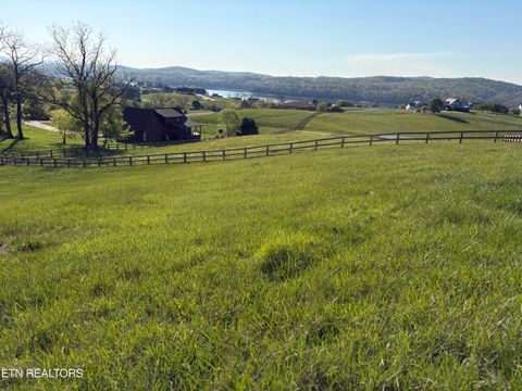 Tiny photo for 86 Swan Song Tr, Sharps Chapel, TN 37866 (MLS # 1336573)