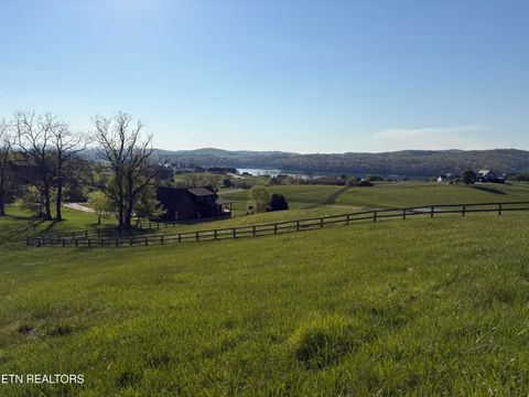 Tiny photo for 86 Swan Song Tr, Sharps Chapel, TN 37866 (MLS # 1336573)