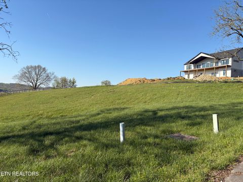 Tiny photo for 86 Swan Song Tr, Sharps Chapel, TN 37866 (MLS # 1336573)