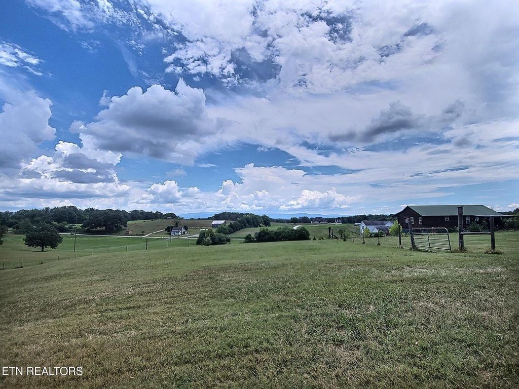 Photo of 3750 Sinking Creek Rd, Greenback, TN 37742 (MLS # 1310295)