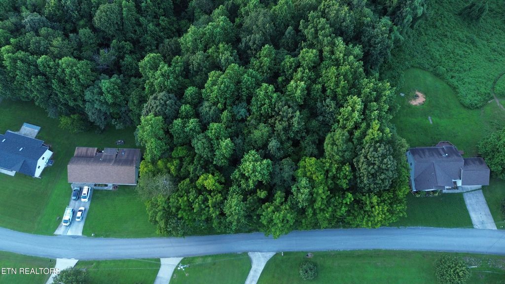 Photo of 978 Ashley Lane, Dayton, TN 37321 (MLS # 1309975)
