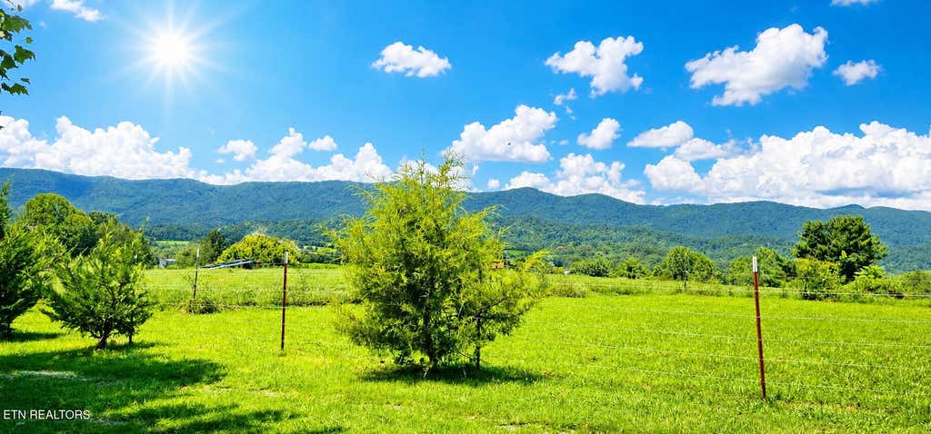 Photo of 387 Price Drive, Speedwell, TN 37870 (MLS # 1350749)