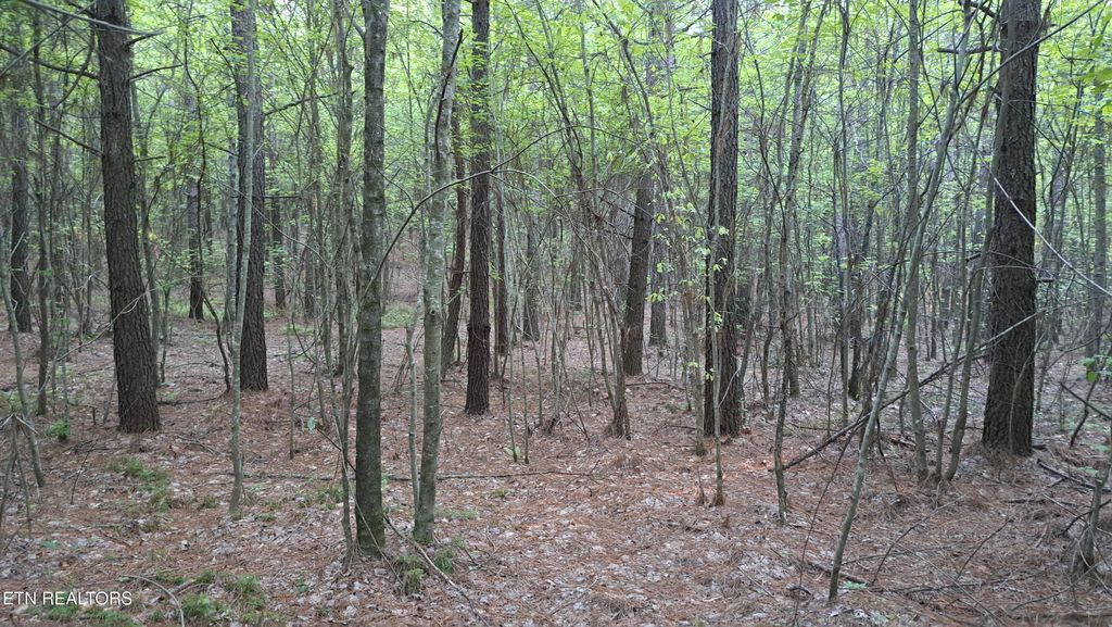 Photo of Airport Rd - Lot 19 (PCA), Rockwood, TN 37854 (MLS # 1319338)