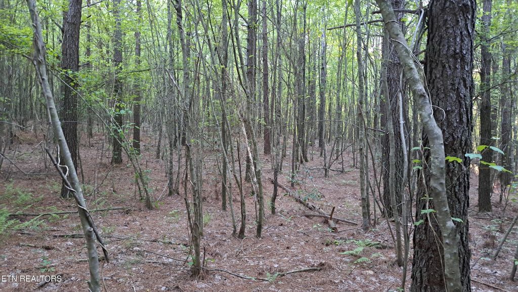 Photo of Airport Rd - Lot 19 (PCA), Rockwood, TN 37854 (MLS # 1319338)