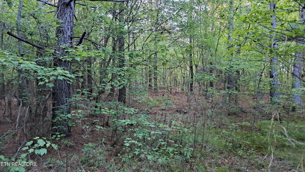 Photo of Airport Rd - Lot 19 (PCA), Rockwood, TN 37854 (MLS # 1319338)