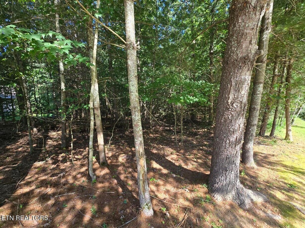 Photo of 16 Holly Court, Crossville, TN 38558 (MLS # 1352972)