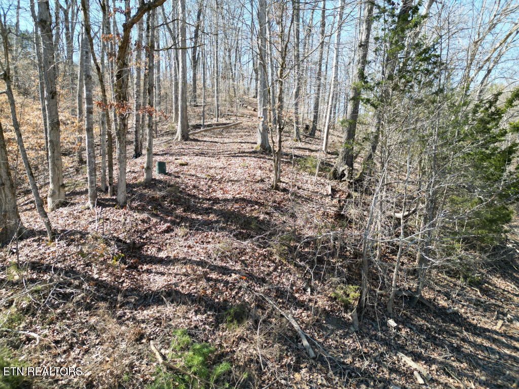 Photo of 1544 Topaz Lane, Dandridge, TN 37725 (MLS # 1296311)