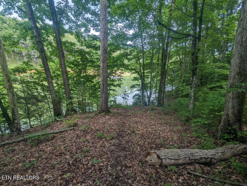 Photo of 1544 Topaz Lane, Dandridge, TN 37725 (MLS # 1296311)