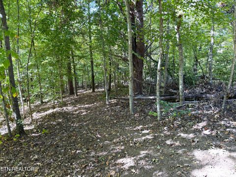 Tiny photo for 204 Omega Rd, Newport, TN 37821 (MLS # 1318757)