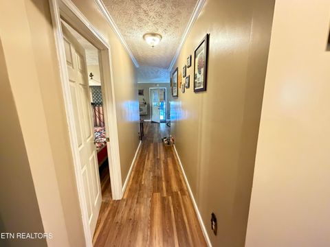 Tiny photo for 204 Omega Rd, Newport, TN 37821 (MLS # 1318757)