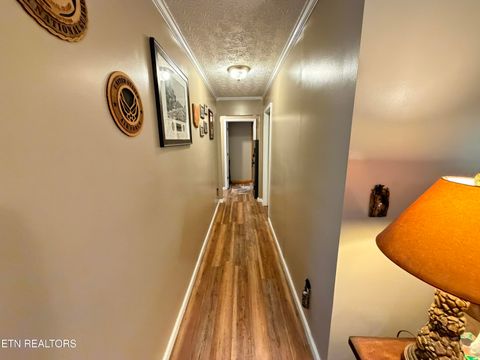 Tiny photo for 204 Omega Rd, Newport, TN 37821 (MLS # 1318757)