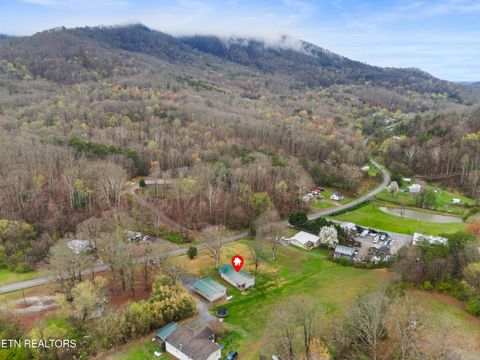 Tiny photo for 614 Old Sevierville Hwy, Newport, TN 37821 (MLS # 1333093)
