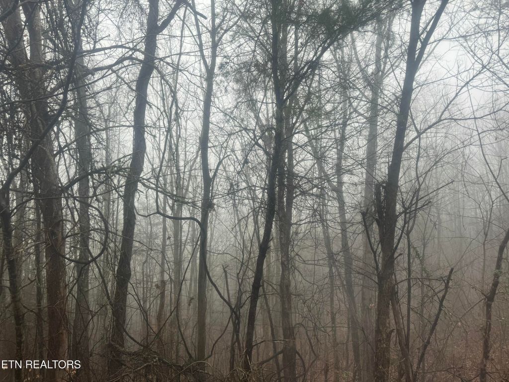 Photo of 13820 Highway 68, Tellico Plains, TN 37385 (MLS # 1290580)