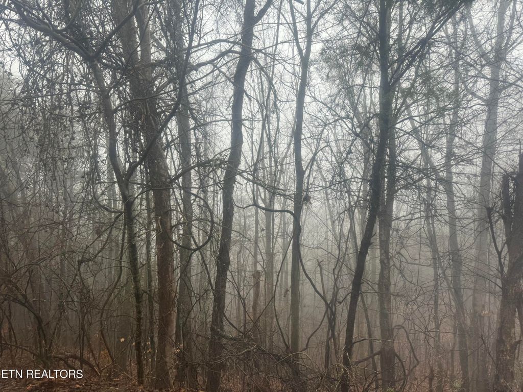 Photo of 13820 Highway 68, Tellico Plains, TN 37385 (MLS # 1290580)