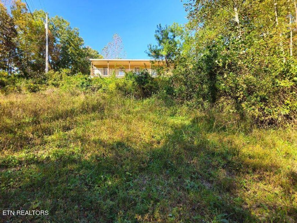 Photo of 564 Oxford Hollow Rd, New Tazewell, TN 37825 (MLS # 1279538)