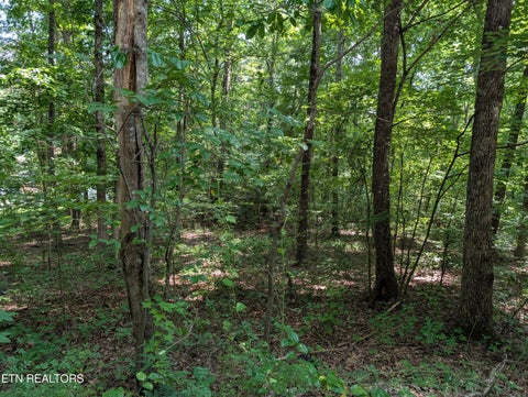 Tiny photo for White St #31, Rockwood, TN 37854 (MLS # 1349707)
