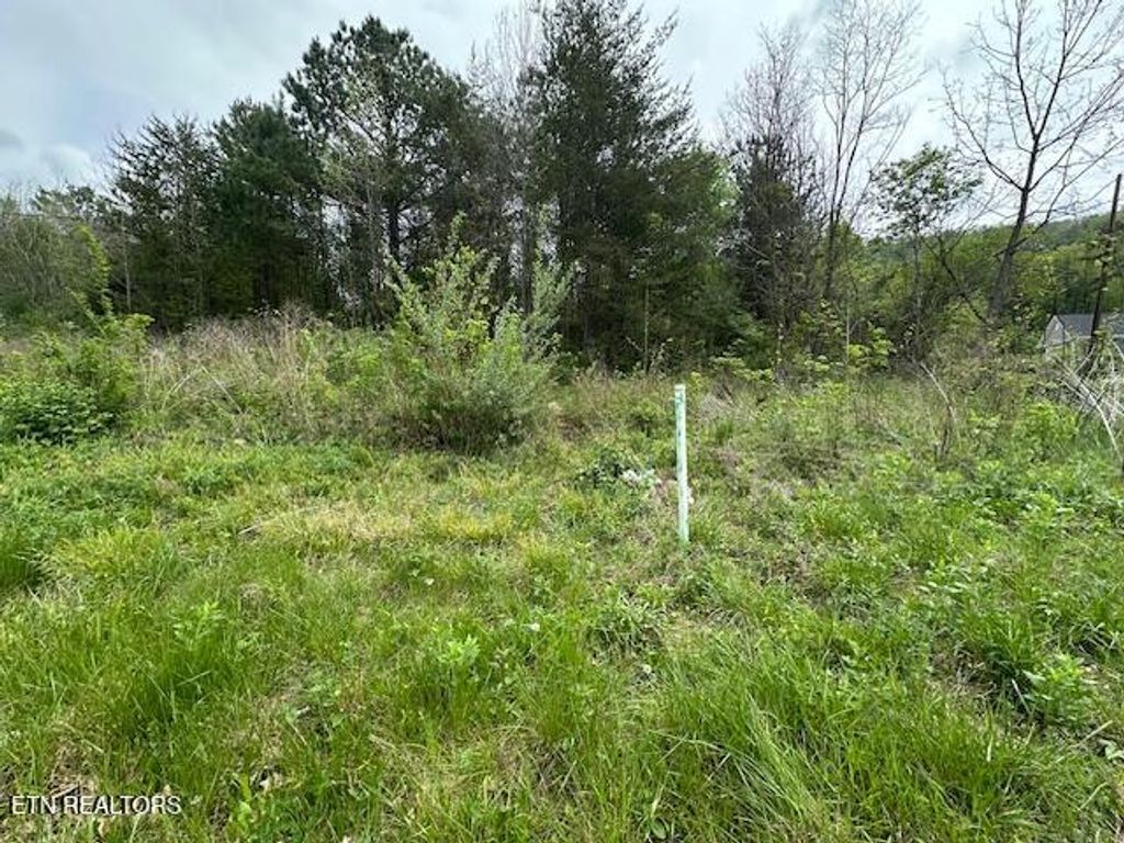 Photo of Douglas Lane, Jellico, TN 37762 (MLS # 1298478)