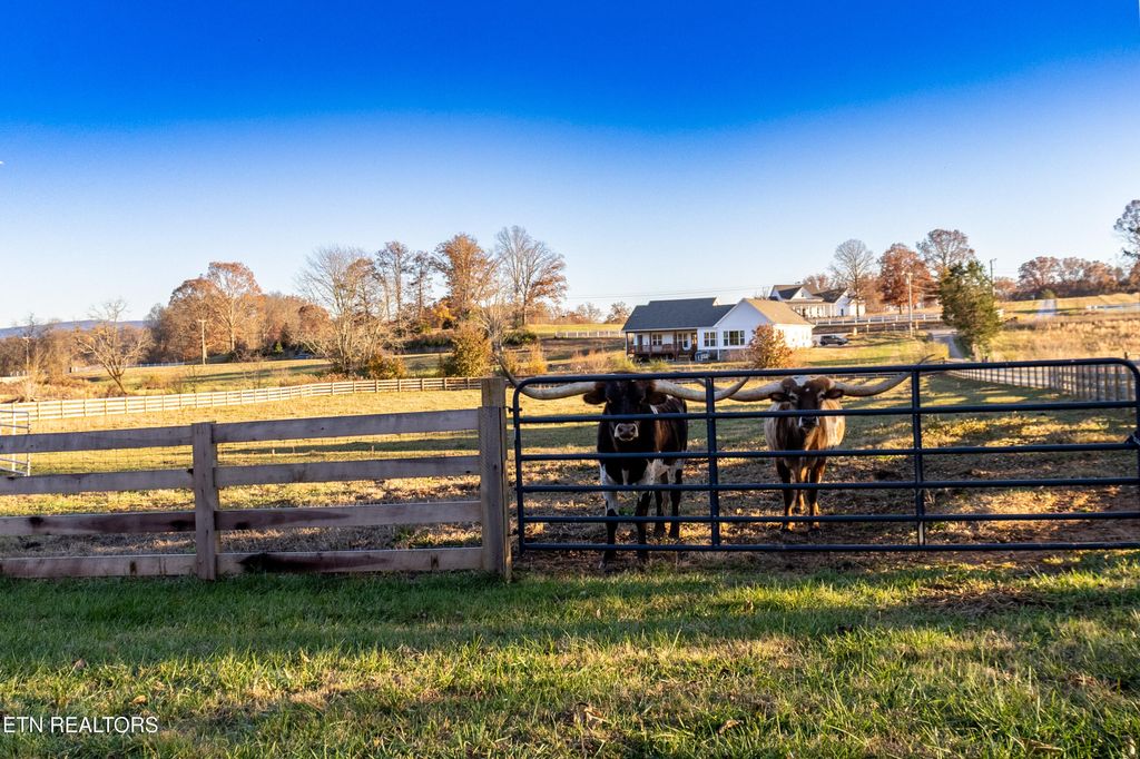 Photo of 6190 Morganton Rd, Greenback, TN 37742 (MLS # 1321238)