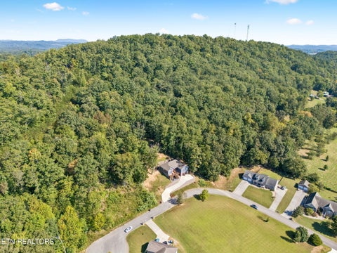 Tiny photo for 948 Bobbie Jean Lane, Seymour, TN 37865 (MLS # 1355398)