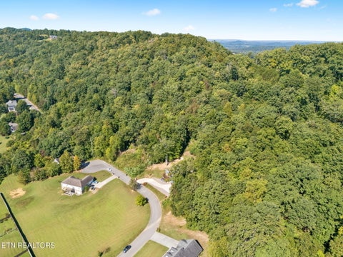 Tiny photo for 948 Bobbie Jean Lane, Seymour, TN 37865 (MLS # 1355398)