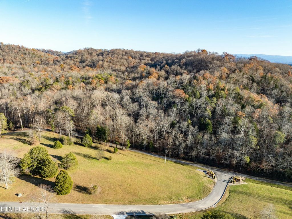 Photo of 120 Hughes Rd, Greenback, TN 37742 (MLS # 1285522)