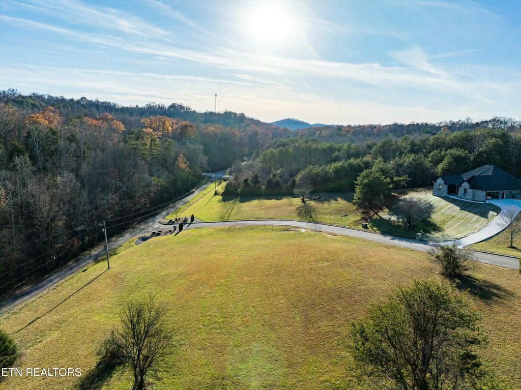 Photo of 120 Hughes Rd, Greenback, TN 37742 (MLS # 1285522)