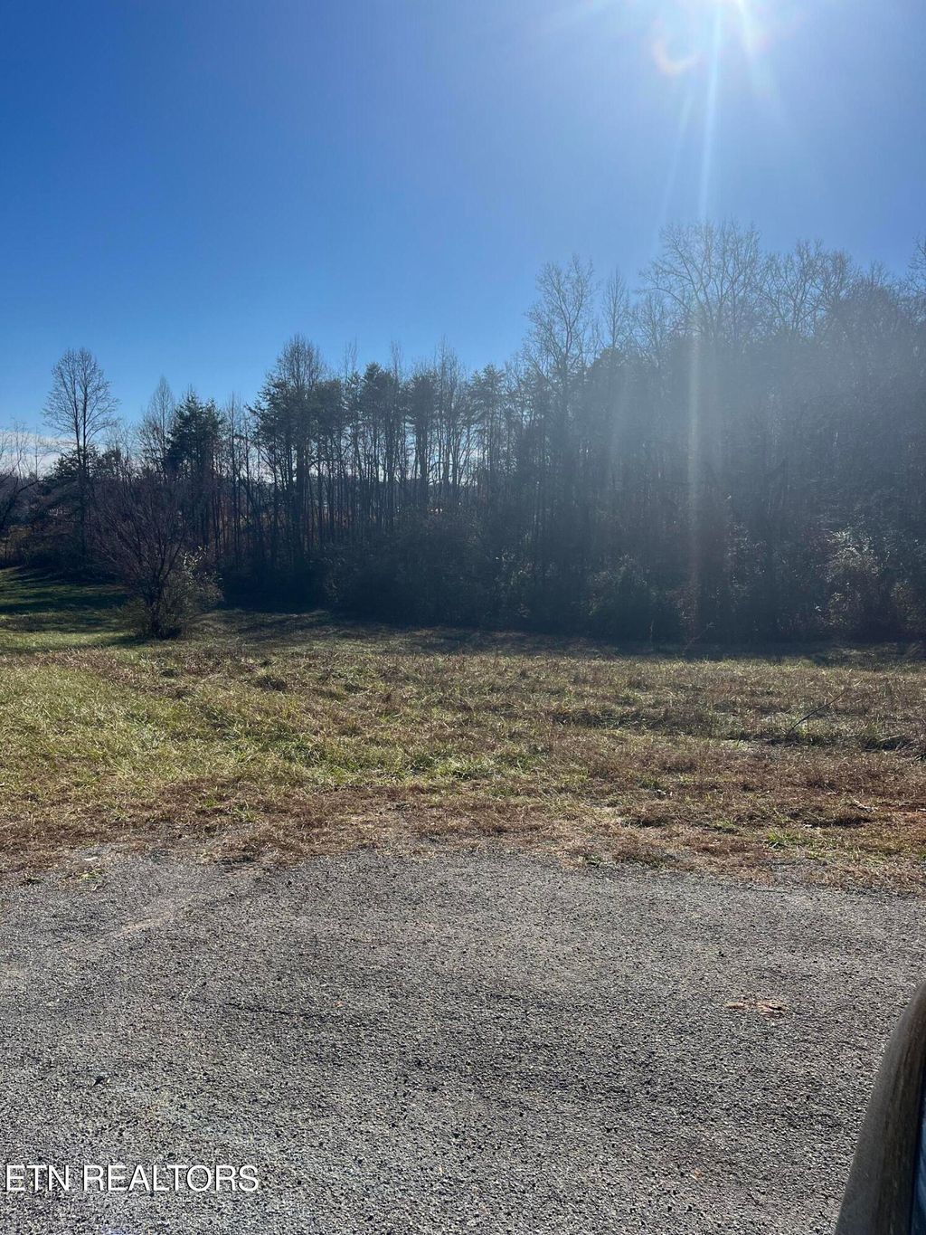Photo of 0 Huffaker Drive, Strawberry Plains, TN 37871 (MLS # 1247473)