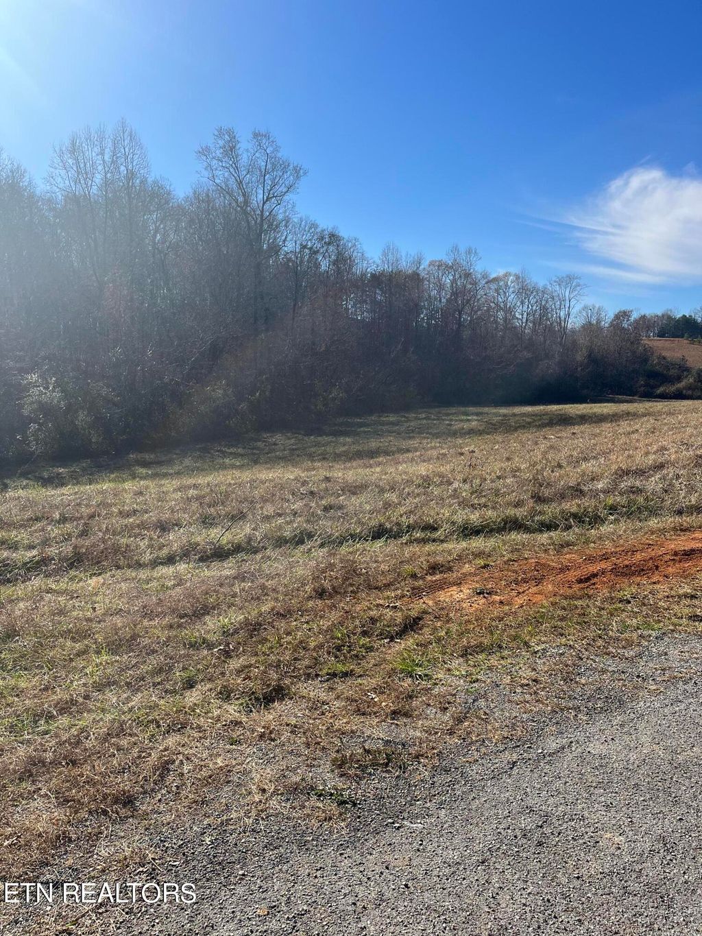Photo of 0 Huffaker Drive, Strawberry Plains, TN 37871 (MLS # 1247473)