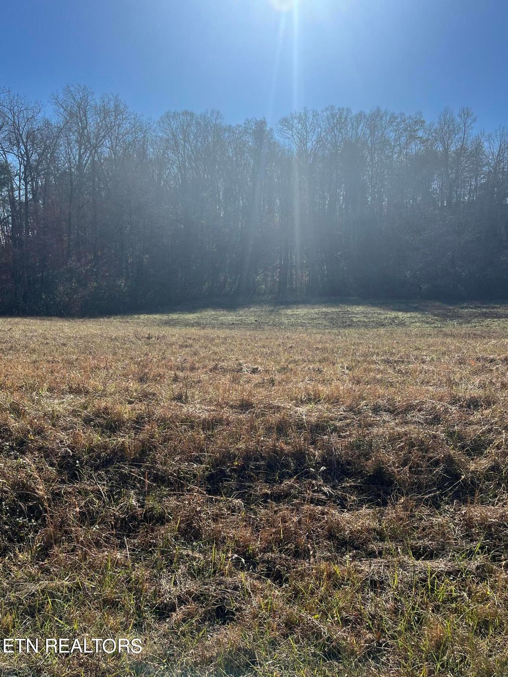 Photo of 0 Huffaker Drive, Strawberry Plains, TN 37871 (MLS # 1247473)