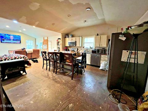 Tiny photo for 575 JD Walden Road Rd, Ten Mile, TN 37880 (MLS # 1321374)