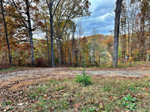 Tiny photo for 575 JD Walden Road Rd, Ten Mile, TN 37880 (MLS # 1321374)