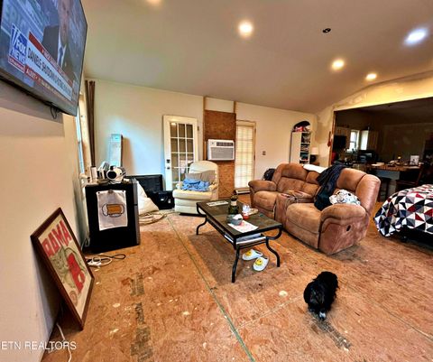 Tiny photo for 575 JD Walden Road Rd, Ten Mile, TN 37880 (MLS # 1321374)