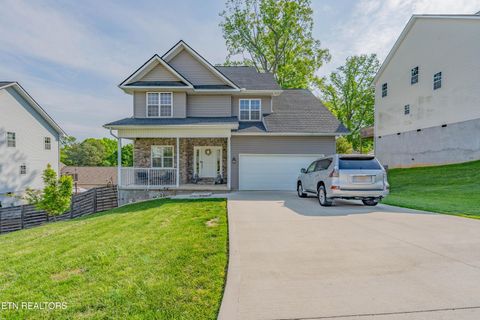 3914 Mountain vista Rd Knoxville TN 37931