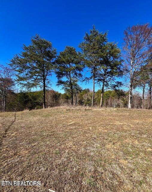 Lot 1 A 2009 Scott Street