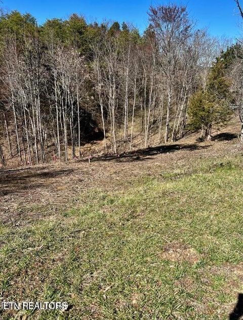 Lot 1 A 2009 Scott Street Sevierville TN 37876