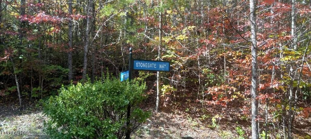 Photo of 267 Cobblestone Way Way, Townsend, TN 37882 (MLS # 1243292)