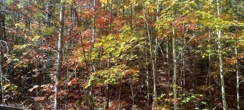 Photo of 267 Cobblestone Way Way, Townsend, TN 37882 (MLS # 1243292)