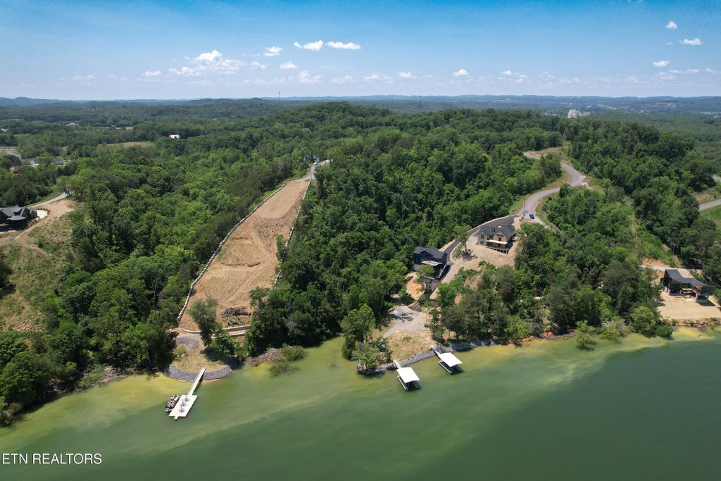 Photo of 74 Clear Point Tr, Dandridge, TN 37725 (MLS # 1306910)
