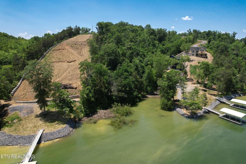 Photo of 74 Clear Point Tr, Dandridge, TN 37725 (MLS # 1306910)