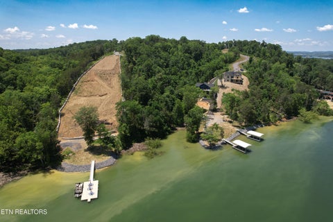 Tiny photo for 74 Clear Point Tr, Dandridge, TN 37725 (MLS # 1306910)
