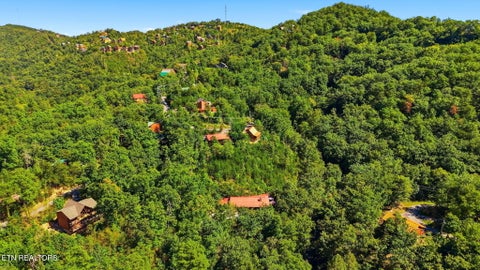 Tiny photo for 2029 Windy Lane, Sevierville, TN 37876 (MLS # 1357337)
