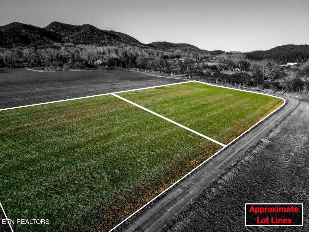 Photo of 000 Tree Top Lane, Tellico Plains, TN 37385 (MLS # 1255158)