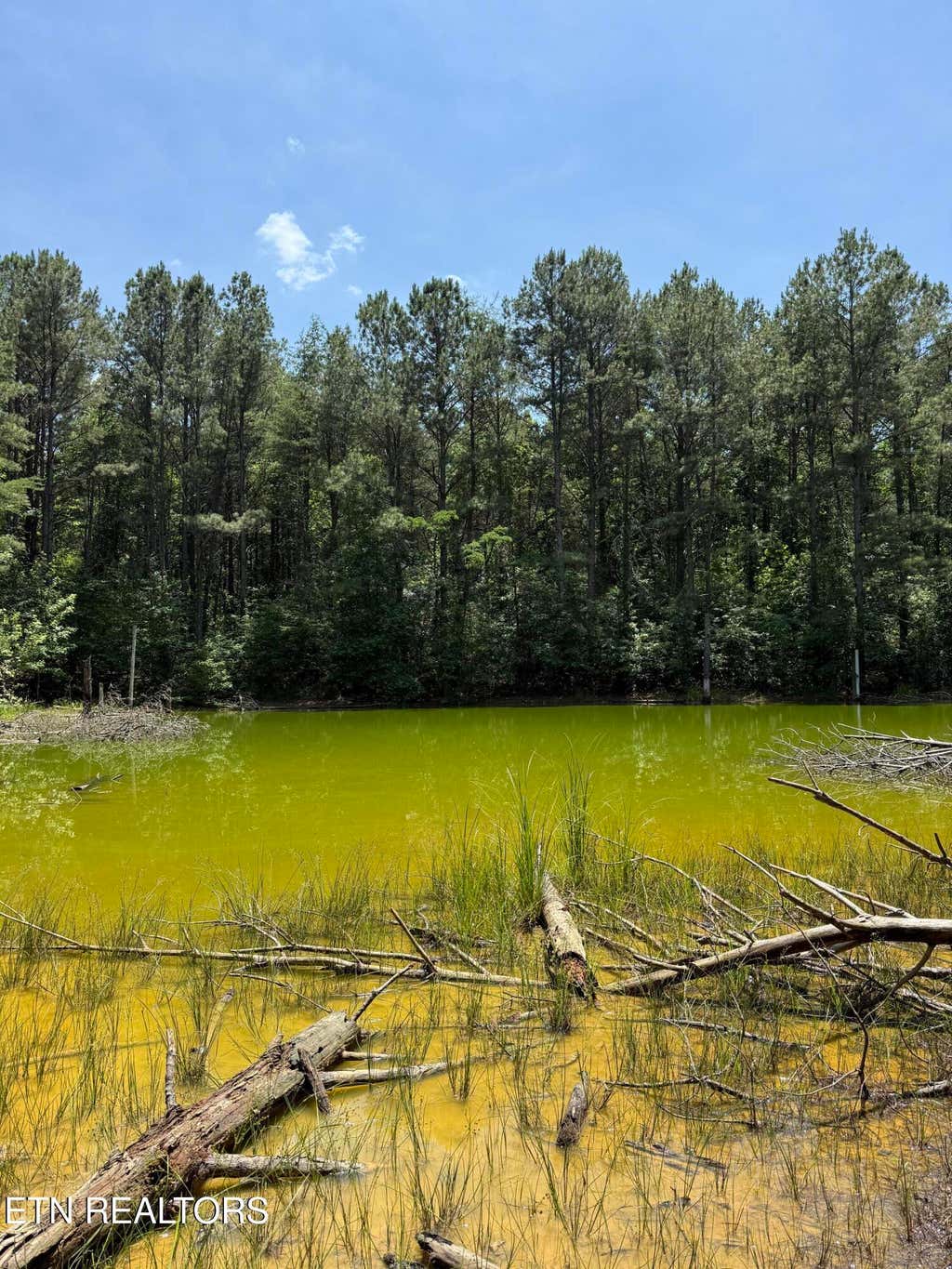 Photo of 426422 County Road 728. (58.5 acres), Riceville, TN 37370 (MLS # 1343407)