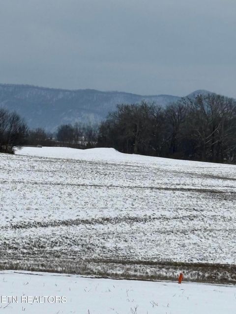 Photo of 491 Alfred McCammon Rd, Maryville, TN 37804 (MLS # 1328368)