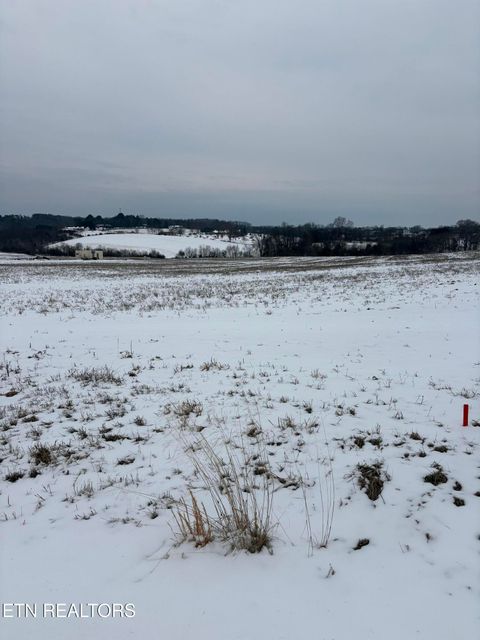 Tiny photo for 491 Alfred McCammon Rd, Maryville, TN 37804 (MLS # 1328368)