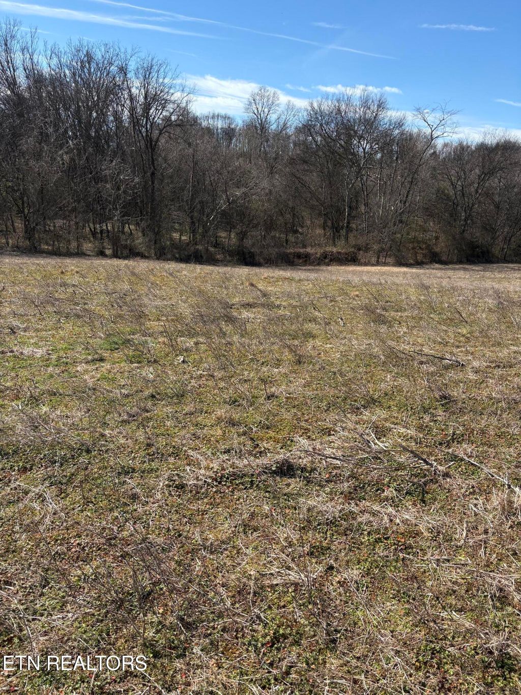 Photo of 491 Alfred McCammon Rd, Maryville, TN 37804 (MLS # 1328368)